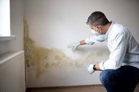 Best Air Quality Testing for Mold Spores  in Martins Additions, MD